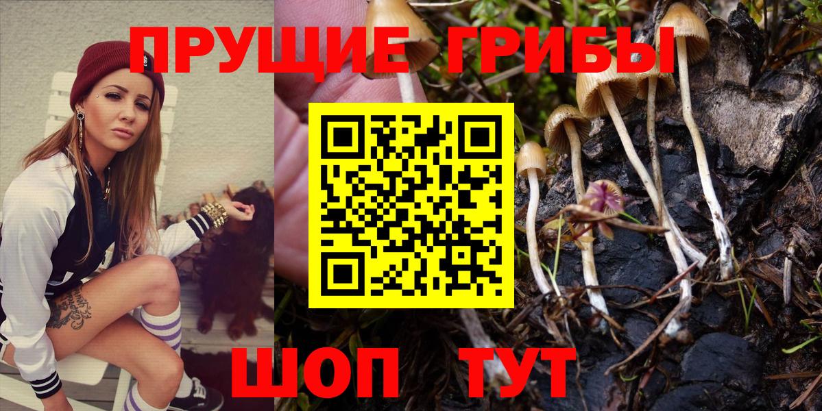Псилоцибиновые грибы Magic Shrooms  Вход с VPN  Бердск 