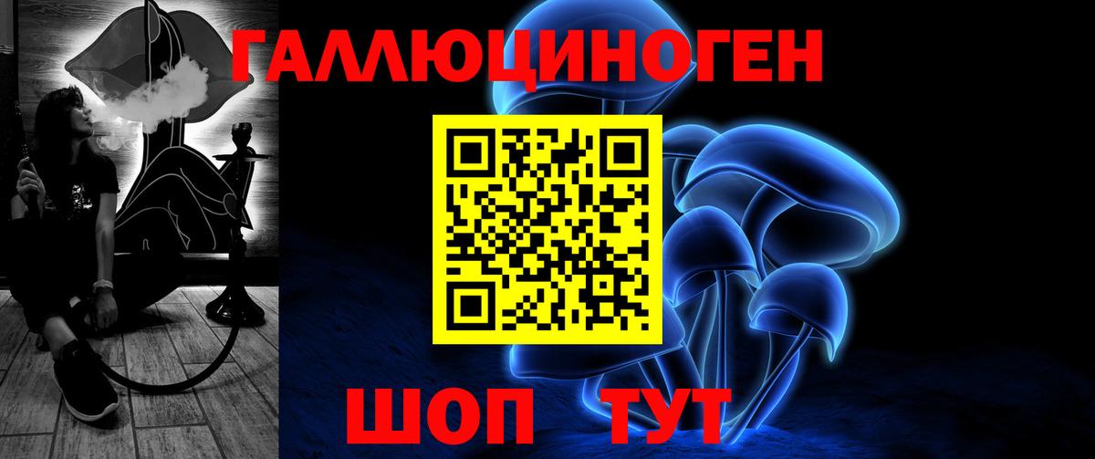 Галлюциногенные грибы Cubensis Бердск